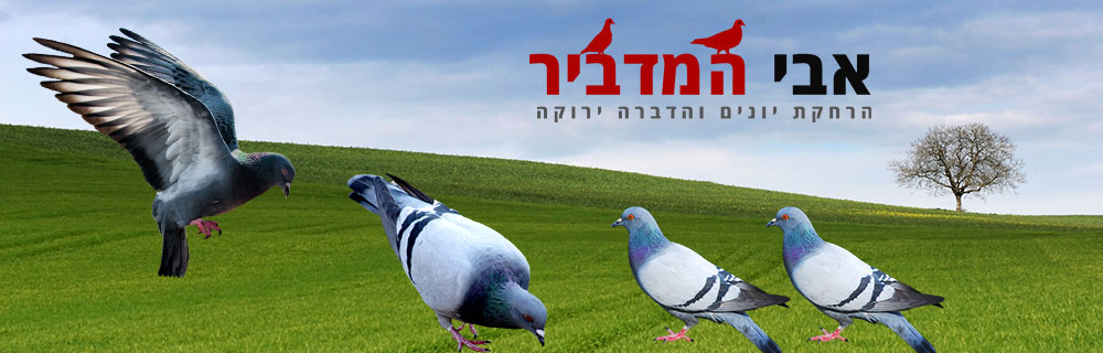 הדברת יונים או הרחקת יונים בצפון