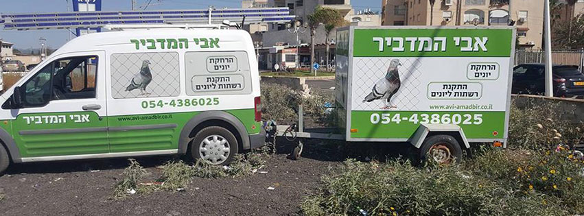 הרחקת יונים בנהריה