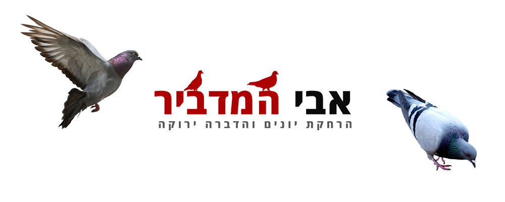 רשתות יונים בנהריה